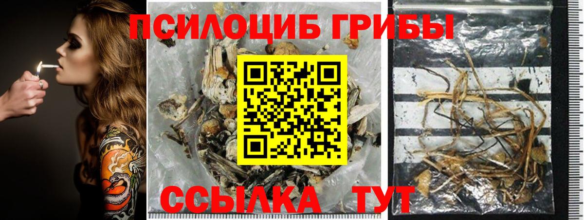 Галлюциногенные грибы Psilocybe  Вход с VPN  даркнет сайт  Галлюциногенные грибы Cubensis  Аксай 