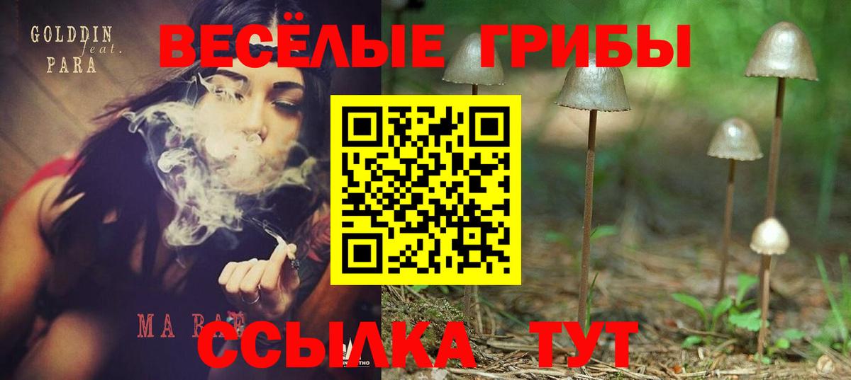 Галлюциногенные грибы прущие грибы Аксай
